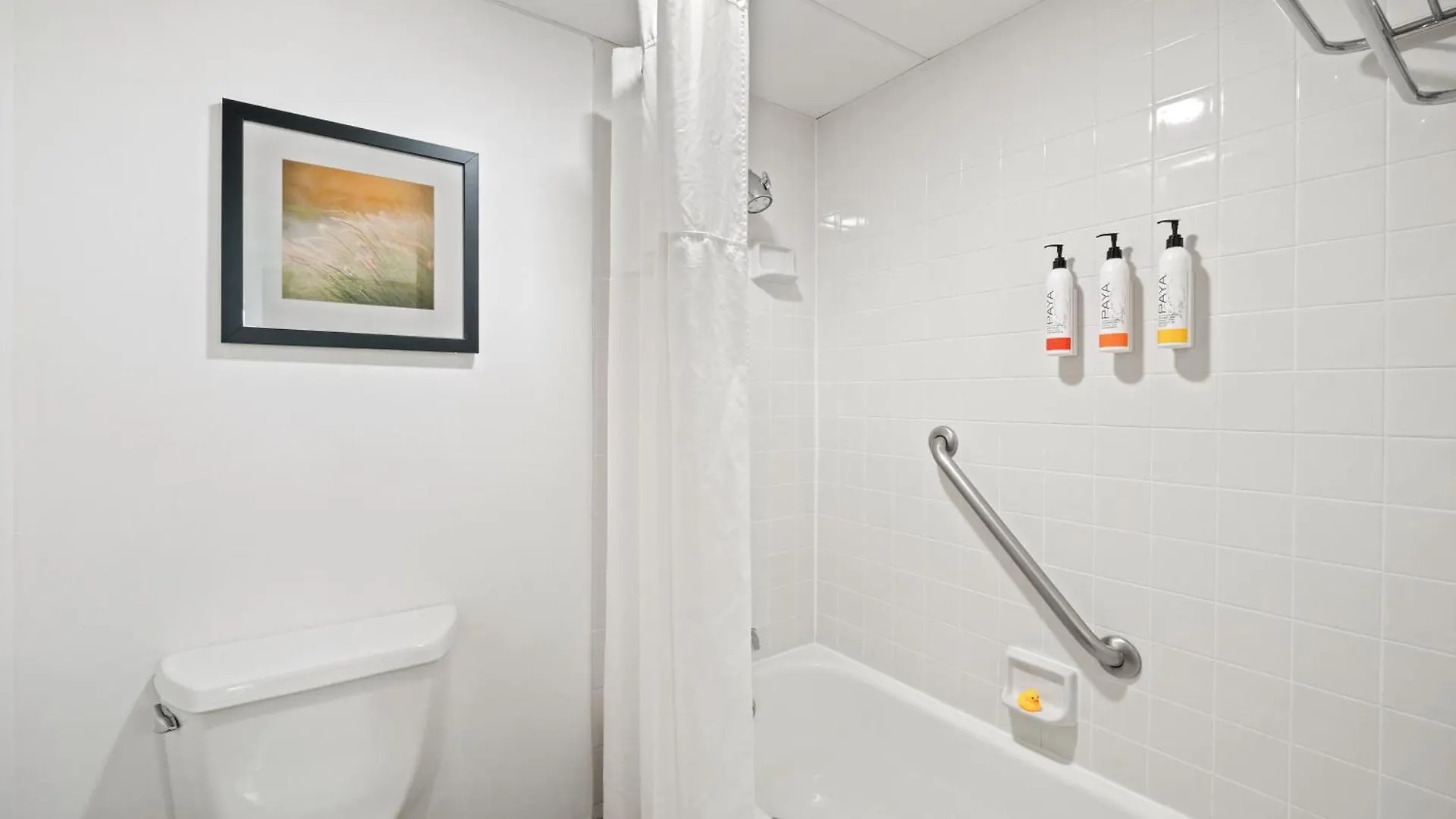 315 Loso Hotel Airport Charlotte